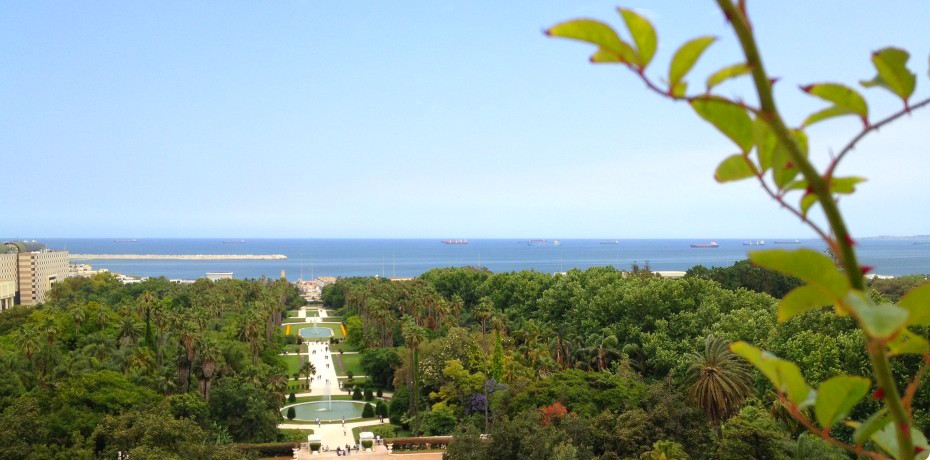 jardin-d-essai-du-hamma-algerie